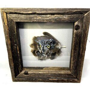 Sandy Shiroma Handpainted Dark Owl Yellow Eyes Art on Feathers Framed